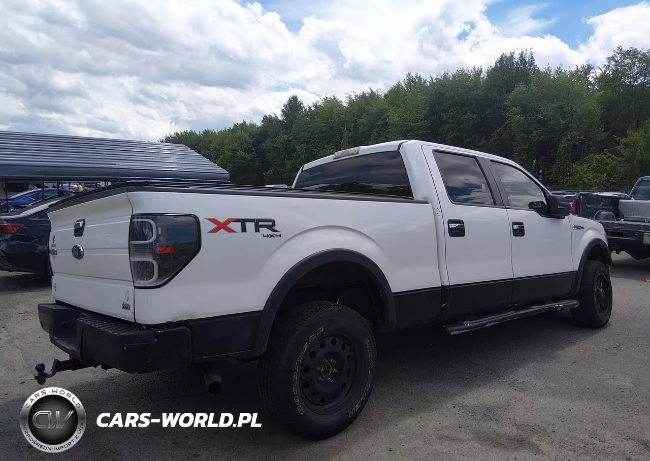 2010 Ford F-150 Fx4-Harley-Davidson-King Ranch-Lariat-Platinum-Xl-Xlt VIN:1FTFW1EV4AFD06748 - 4