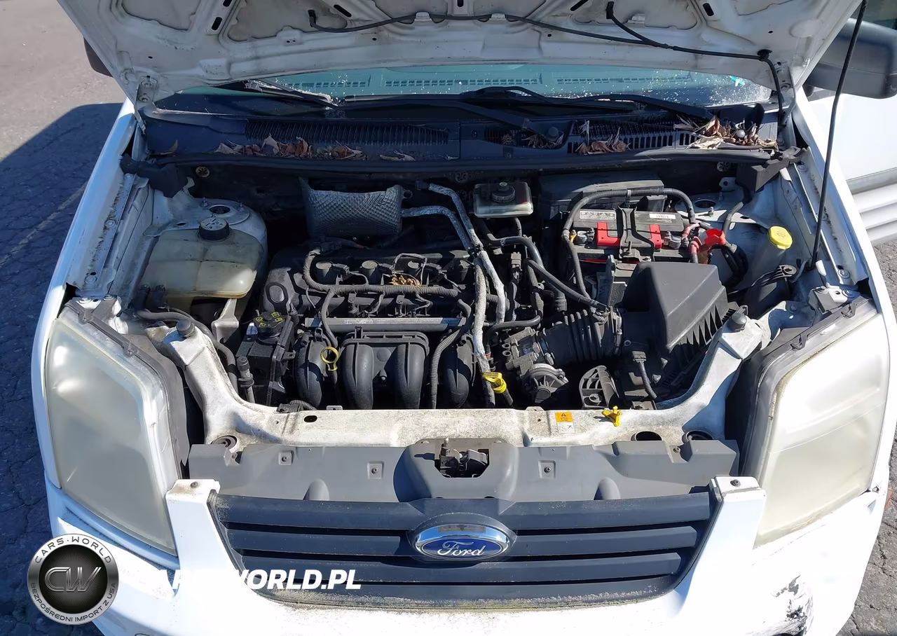 2010 Ford Transit Connect Xlt VIN:NM0LS7DN4AT034655 - 10