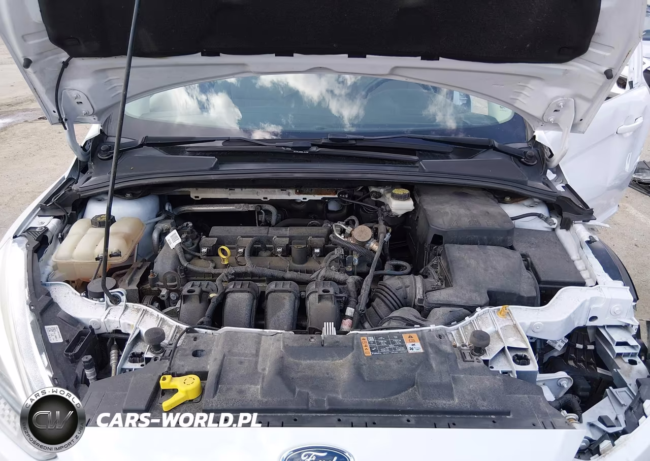 2017 Ford Focus Se VIN:1FADP3K2XHL316549 - 10