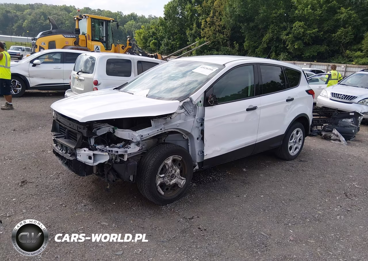 2019 Ford Escape S VIN:1FMCU0F71KUB65259 - 2