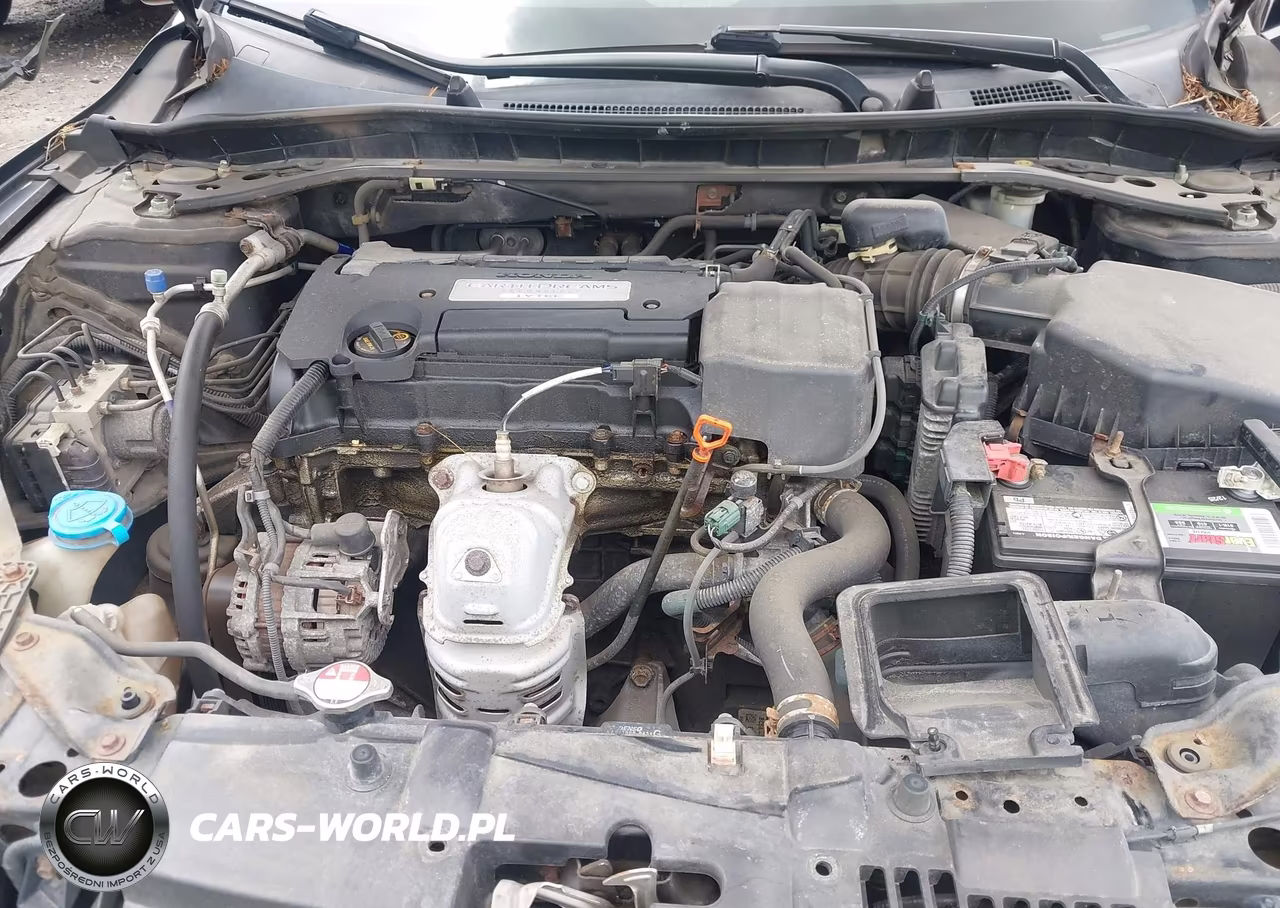 2014 Honda Accord Ex-L VIN:1HGCR2F83EA157116 - 10