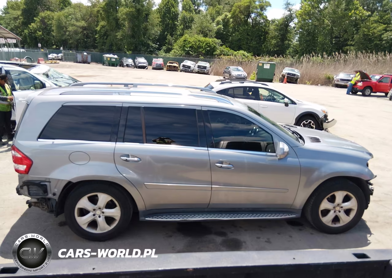 2010 Mercedes-Benz Gl 450 4Matic VIN:4JGBF7BE9AA540169 - 14