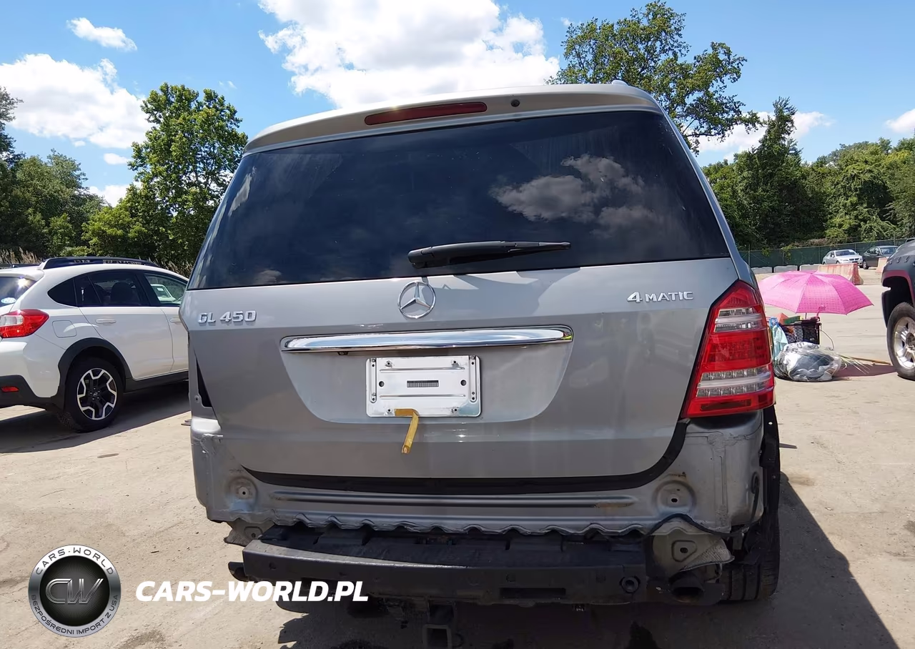 2010 Mercedes-Benz Gl 450 4Matic VIN:4JGBF7BE9AA540169 - 17