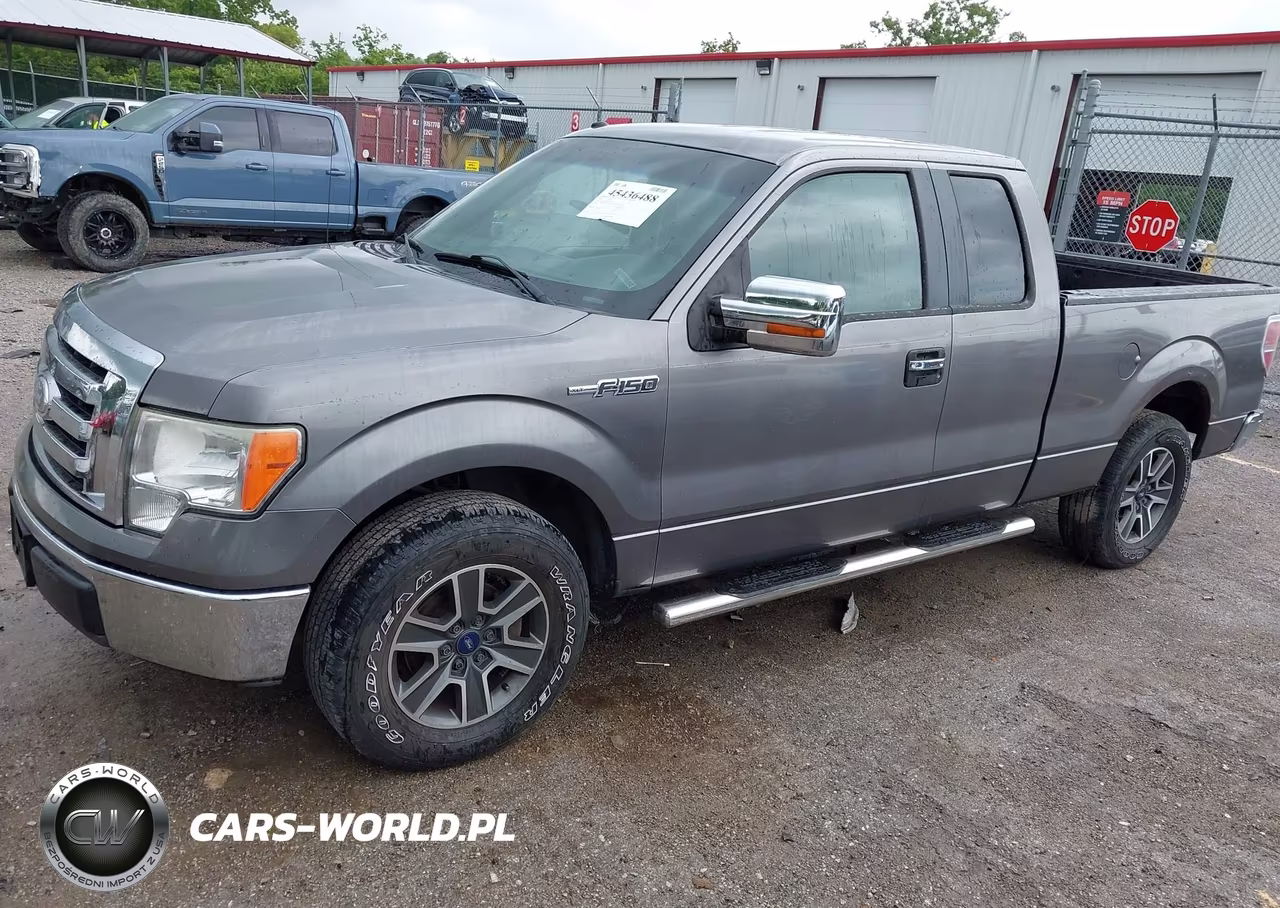 2009 Ford F-150 Xlt VIN:1FTRX12809FA84181 - 2