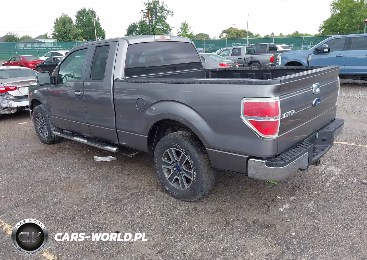 2009 Ford F-150 Xlt VIN:1FTRX12809FA84181 - 3