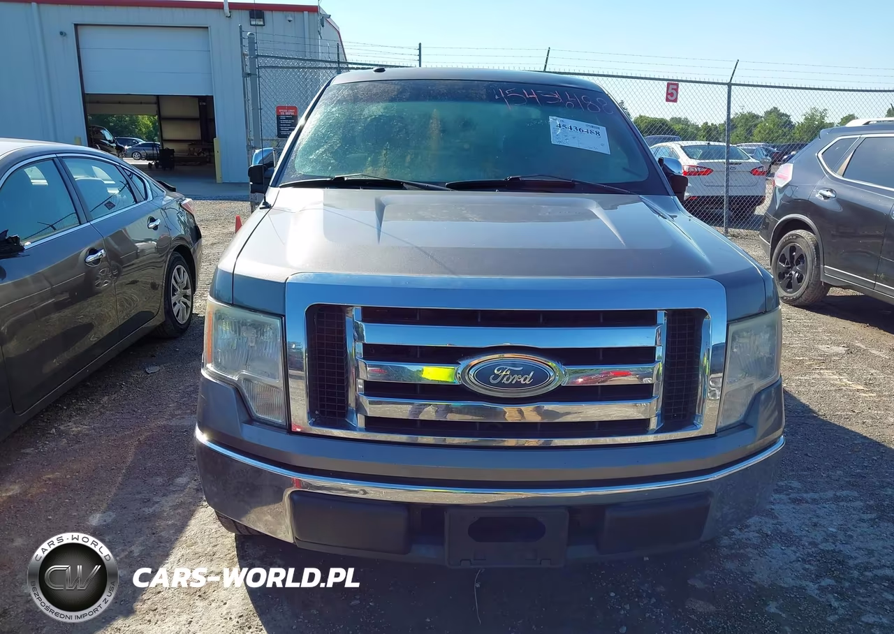 2009 Ford F-150 Xlt VIN:1FTRX12809FA84181 - 6