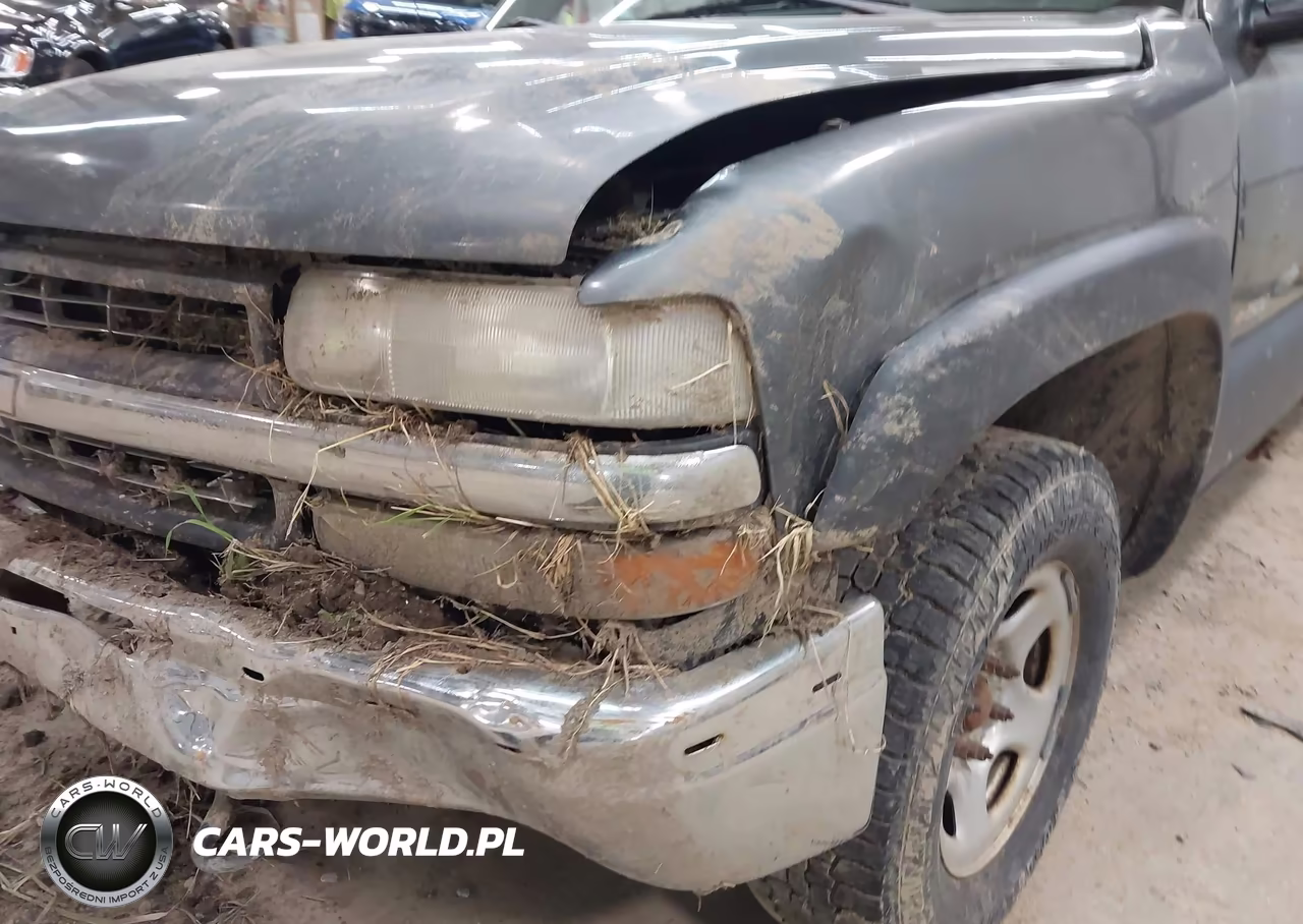 2002 Chevrolet Silverado 1500 VIN:1GCEK19V32Z101021 - 16
