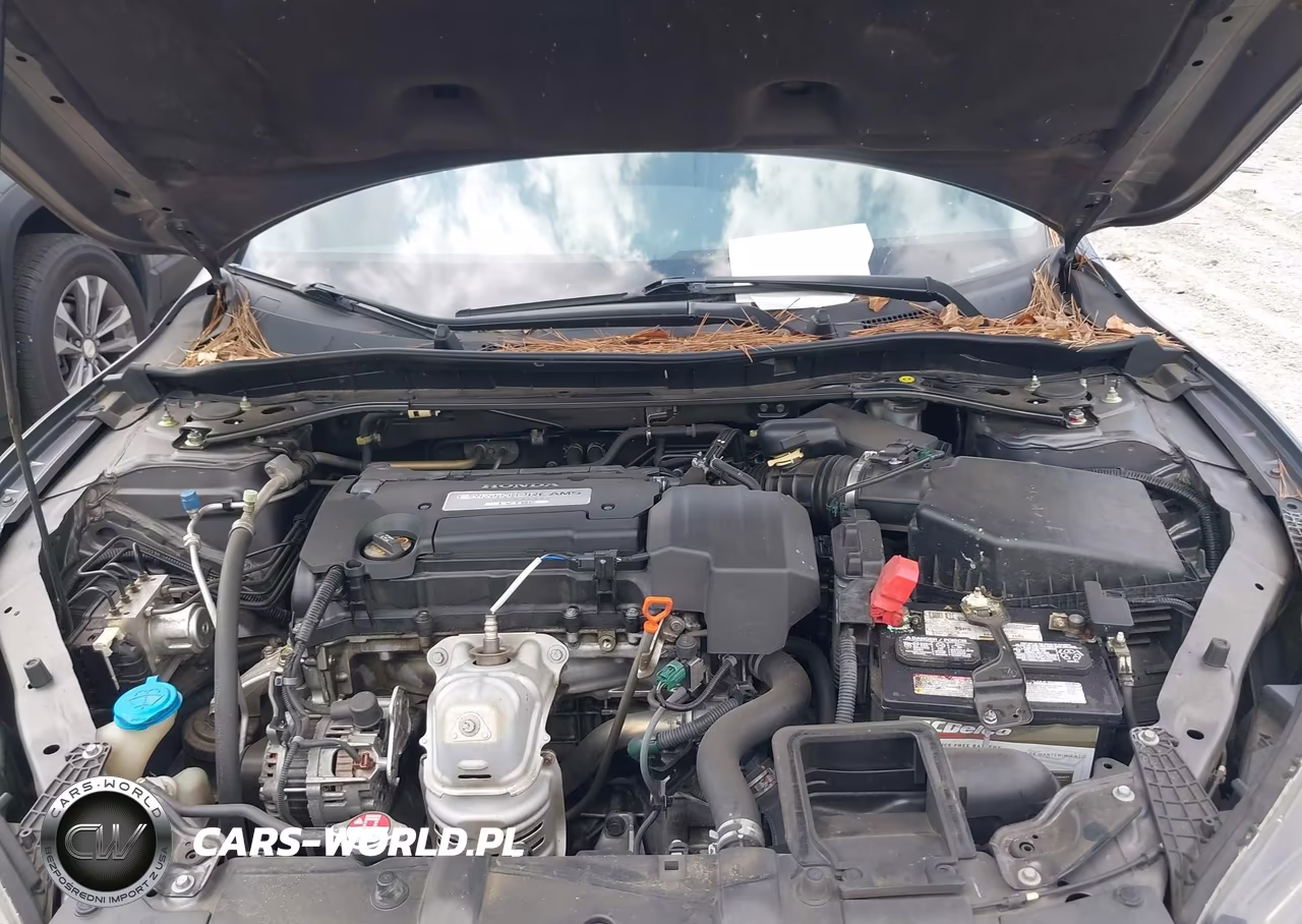 2013 Honda Accord Ex-L VIN:1HGCR2F83DA182113 - 10