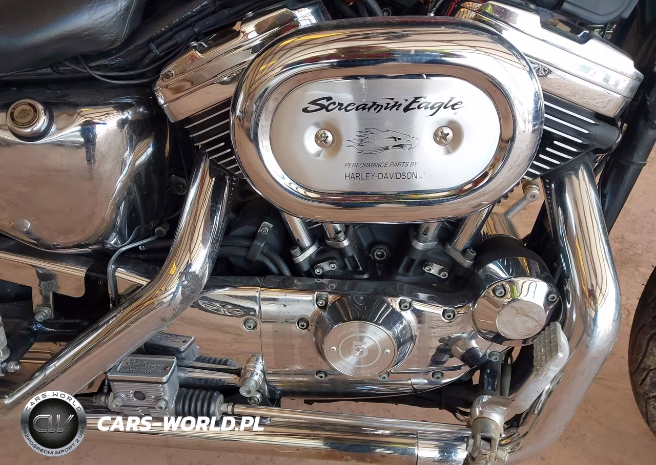 2001 Harley-Davidson Xl1200 C VIN:1HD1CGP191K118250 - 8