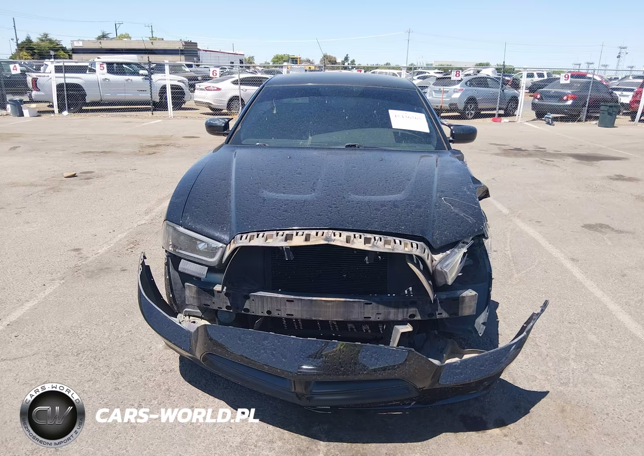 2013 Dodge Charger Road-Track VIN:2C3CDXCT5DH507224 - 12