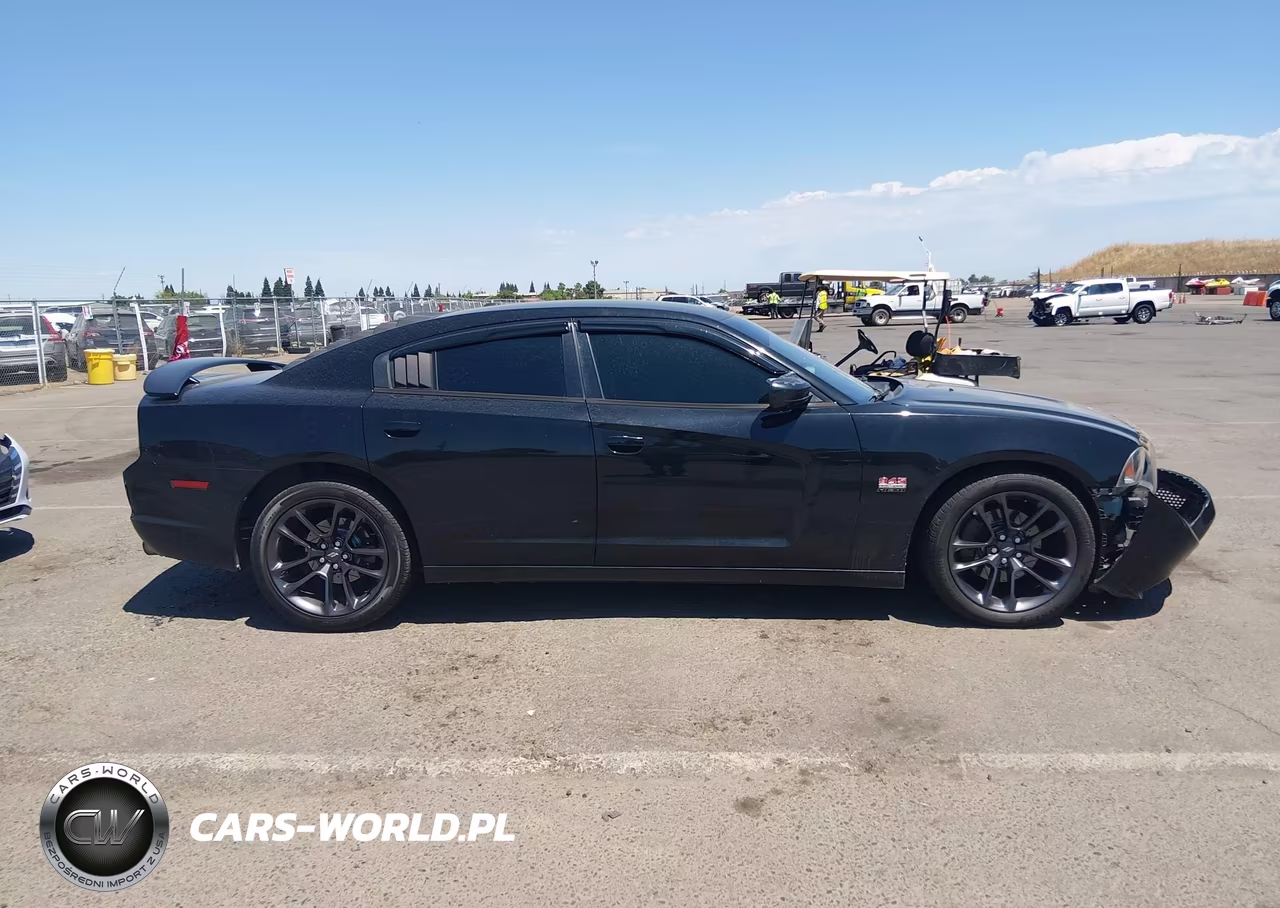2013 Dodge Charger Road-Track VIN:2C3CDXCT5DH507224 - 13
