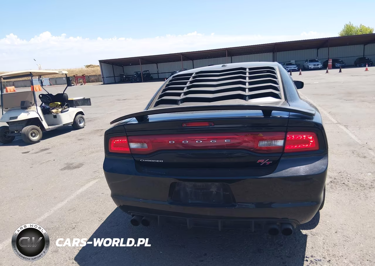 2013 Dodge Charger Road-Track VIN:2C3CDXCT5DH507224 - 16