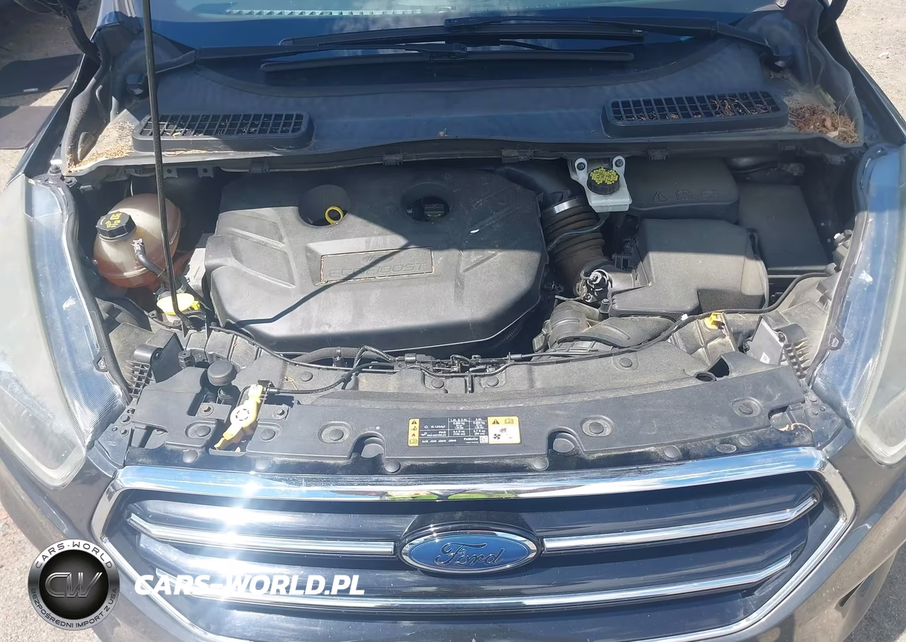 2017 Ford Escape Se VIN:1FMCU9G97HUD71845 - 10