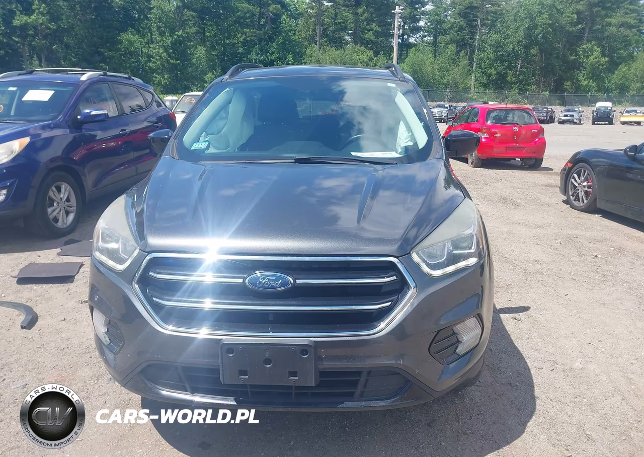 2017 Ford Escape Se VIN:1FMCU9G97HUD71845 - 13