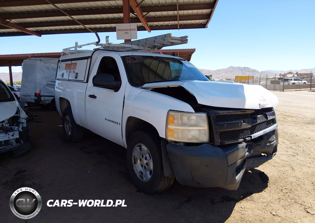 2009 Chevrolet Silverado 1500 Work Truck