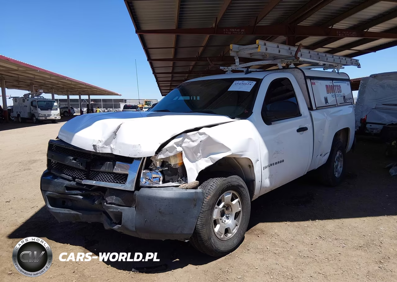 2009 Chevrolet Silverado 1500 Work Truck VIN:1GCEC14X99Z180601 - 12