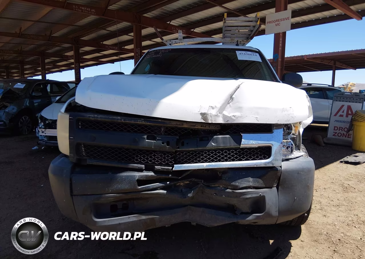 2009 Chevrolet Silverado 1500 Work Truck VIN:1GCEC14X99Z180601 - 13