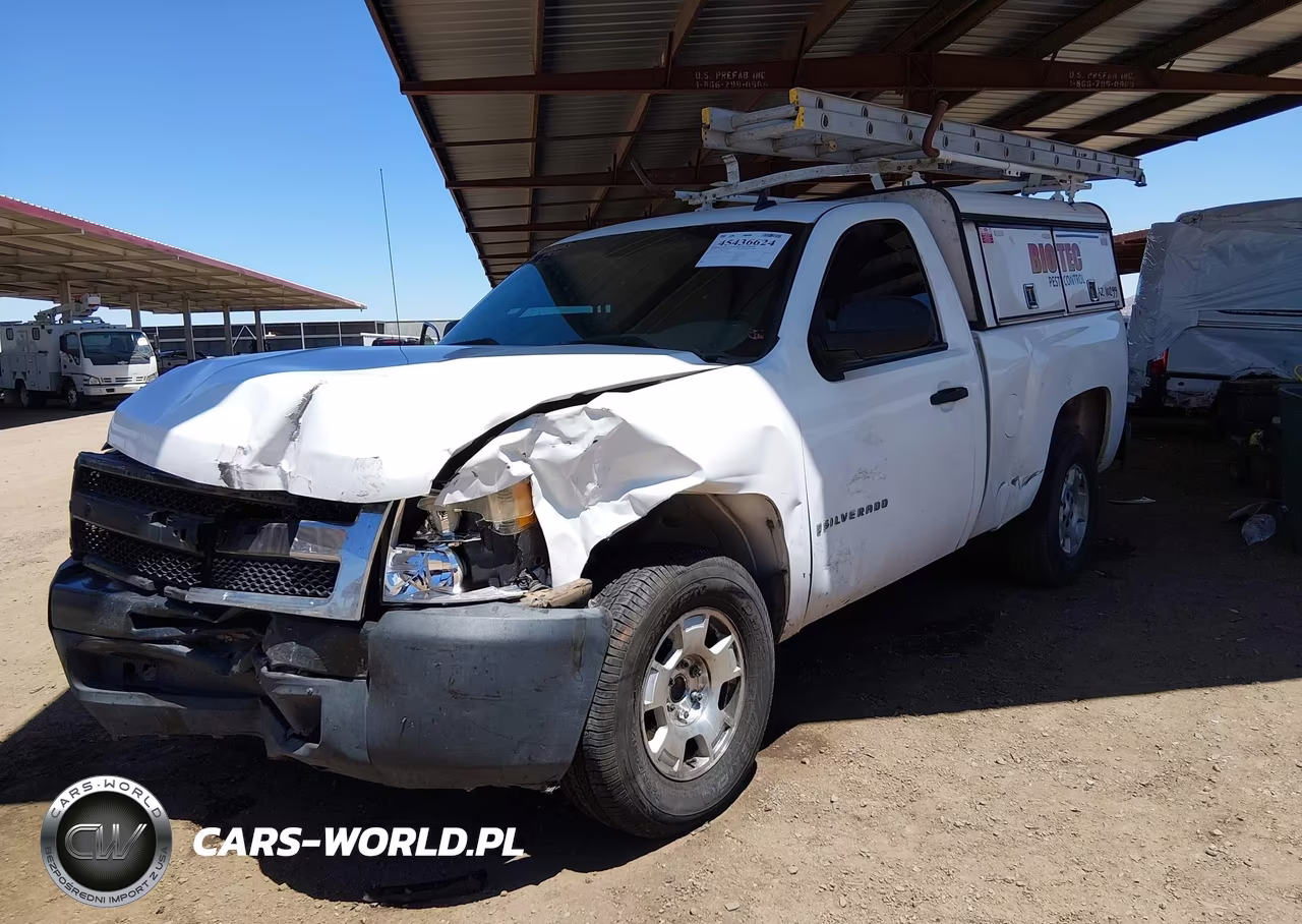 2009 Chevrolet Silverado 1500 Work Truck VIN:1GCEC14X99Z180601 - 2