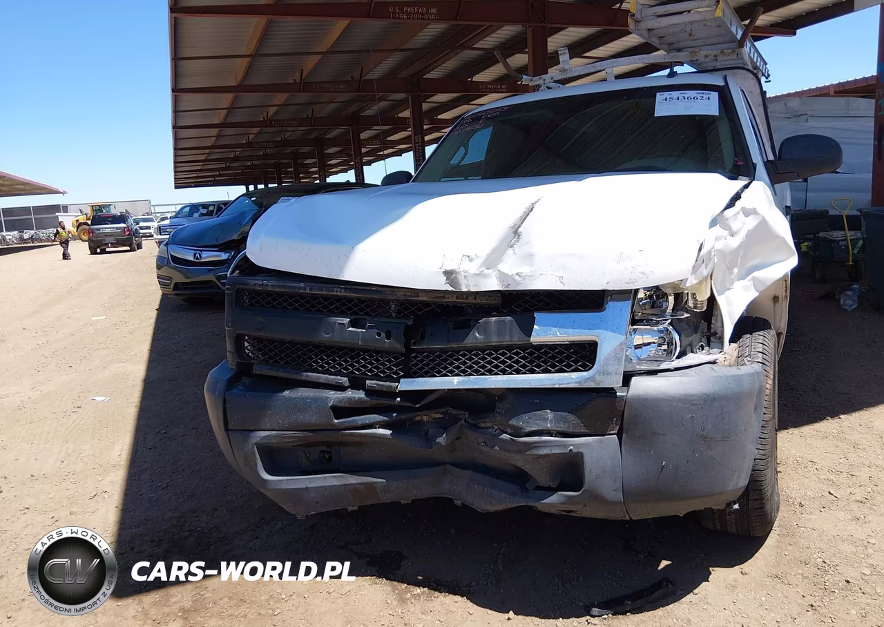 2009 Chevrolet Silverado 1500 Work Truck VIN:1GCEC14X99Z180601 - 6