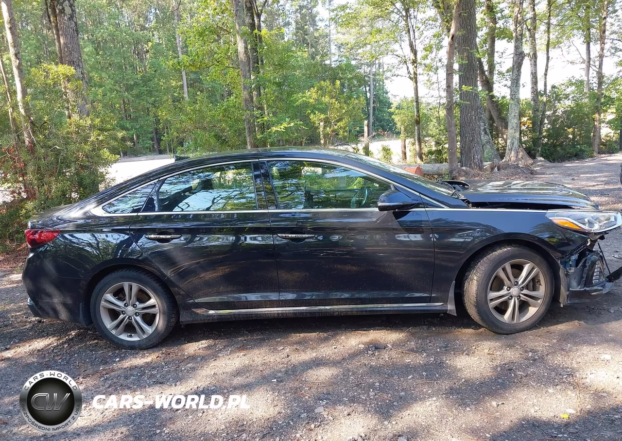 2018 Hyundai Sonata Sport+ VIN:5NPE34AF7JH704966 - 12