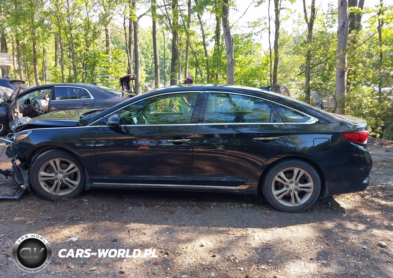 2018 Hyundai Sonata Sport+ VIN:5NPE34AF7JH704966 - 13