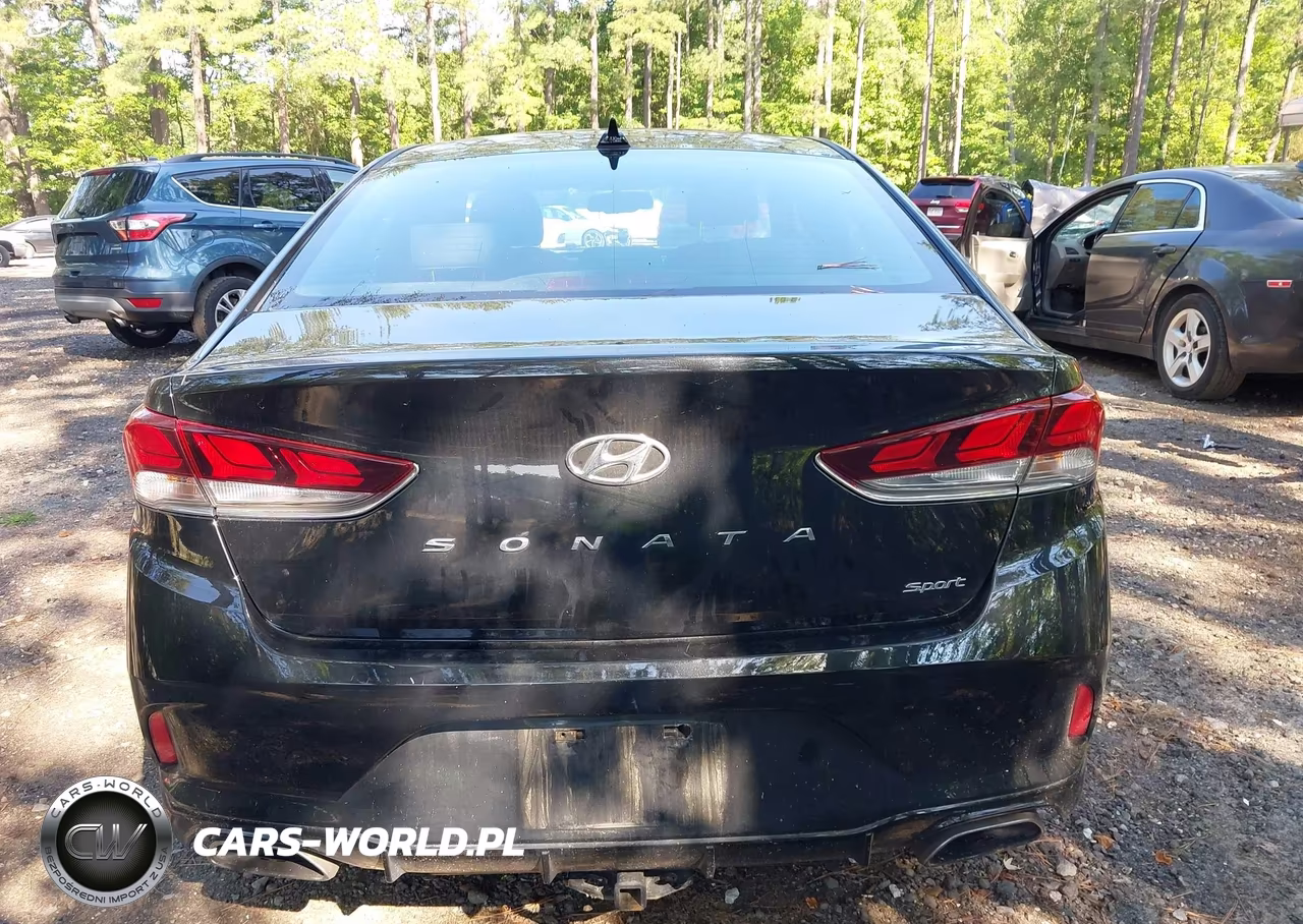 2018 Hyundai Sonata Sport+ VIN:5NPE34AF7JH704966 - 15