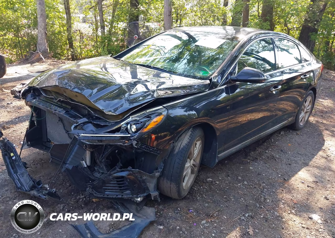 2018 Hyundai Sonata Sport+ VIN:5NPE34AF7JH704966 - 2