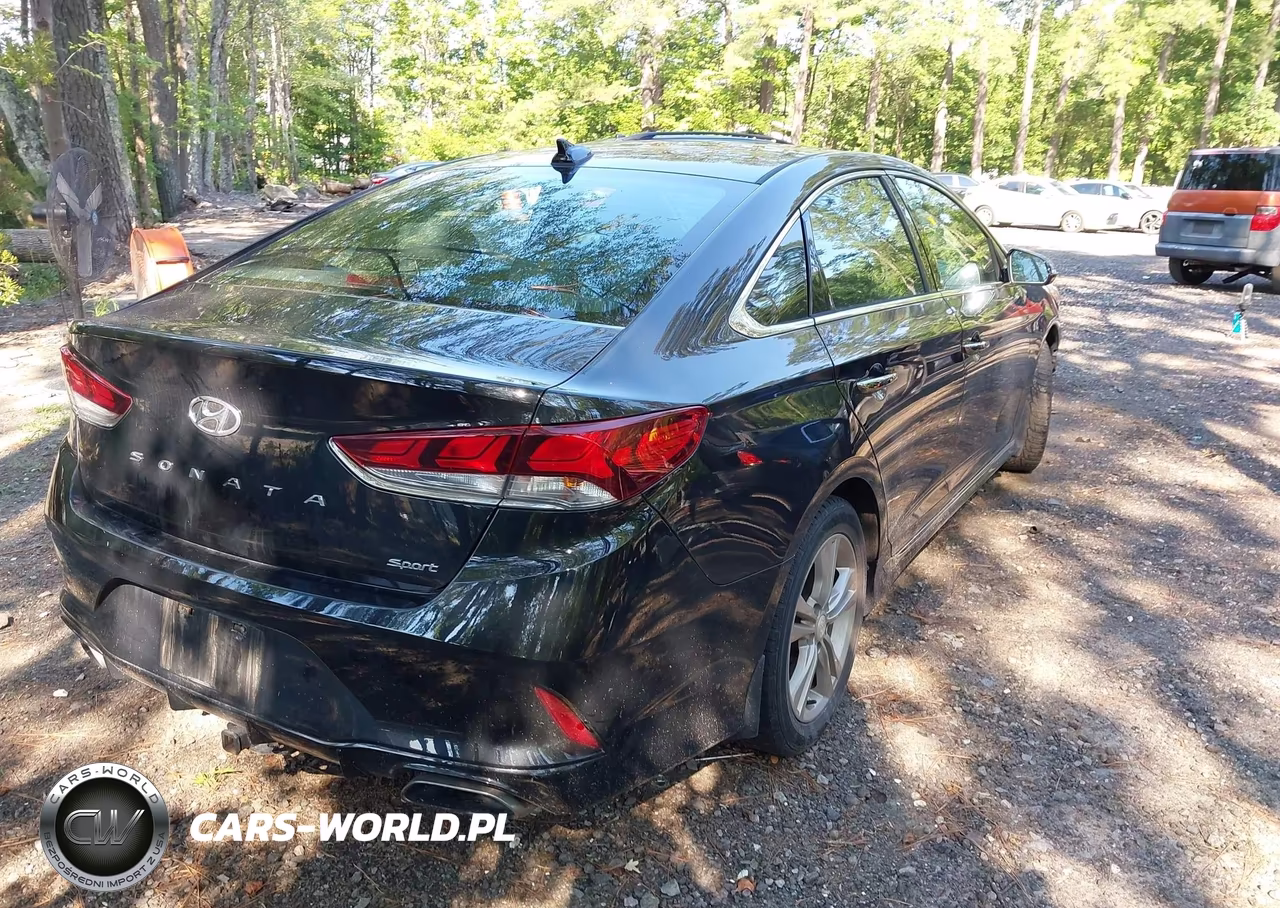 2018 Hyundai Sonata Sport+ VIN:5NPE34AF7JH704966 - 4