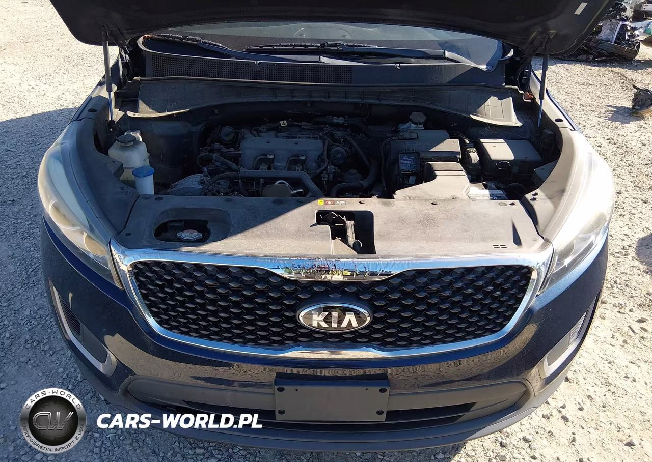 2016 Kia Sorento 3.3L Lx VIN:5XYPGDA56GG161095 - 10