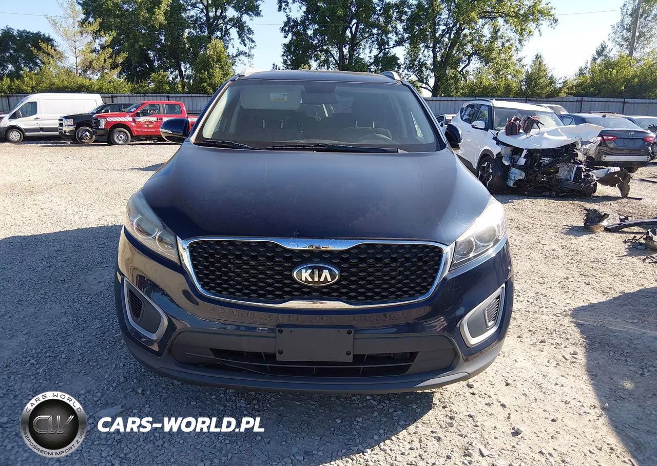 2016 Kia Sorento 3.3L Lx VIN:5XYPGDA56GG161095 - 12