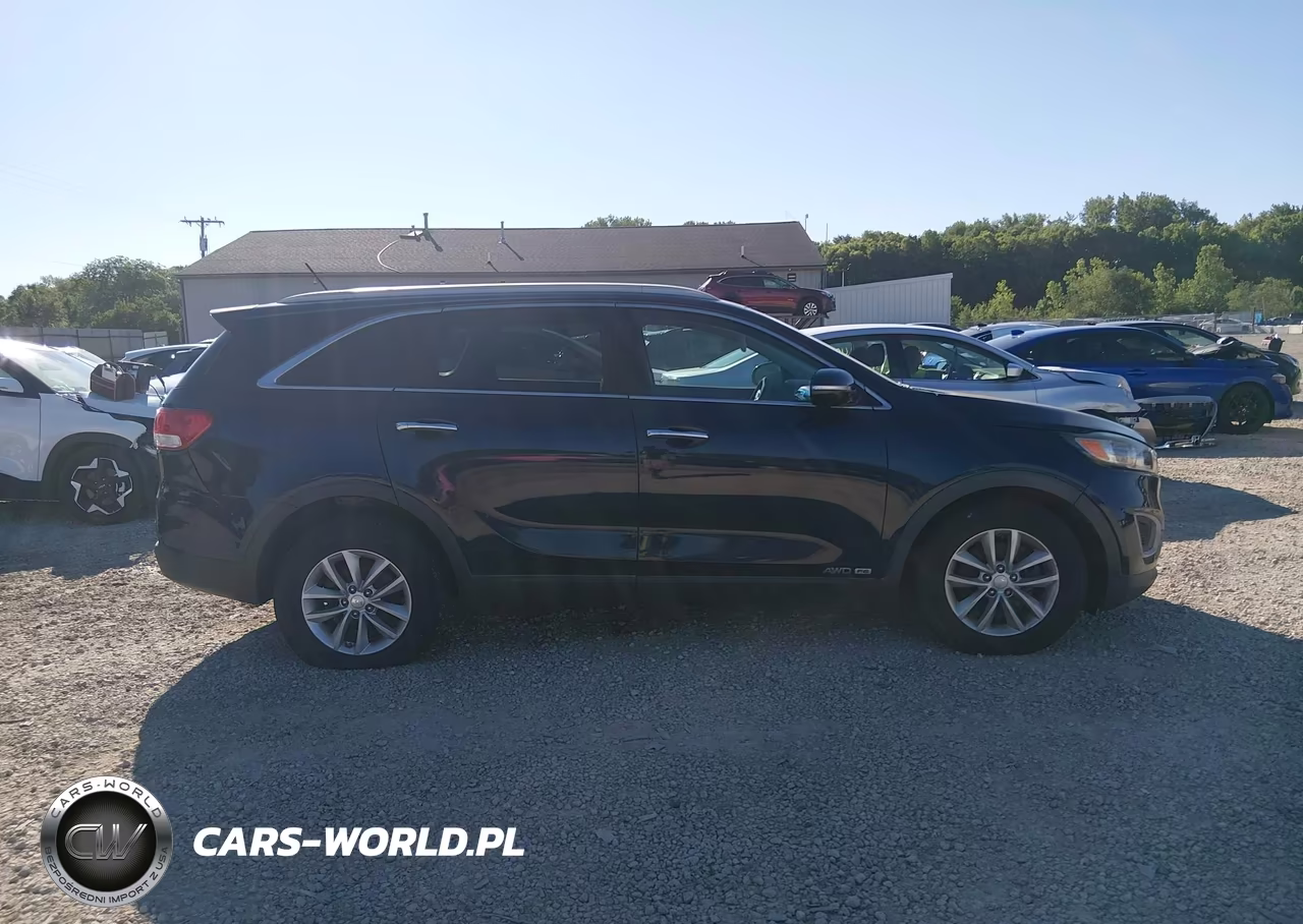 2016 Kia Sorento 3.3L Lx VIN:5XYPGDA56GG161095 - 13