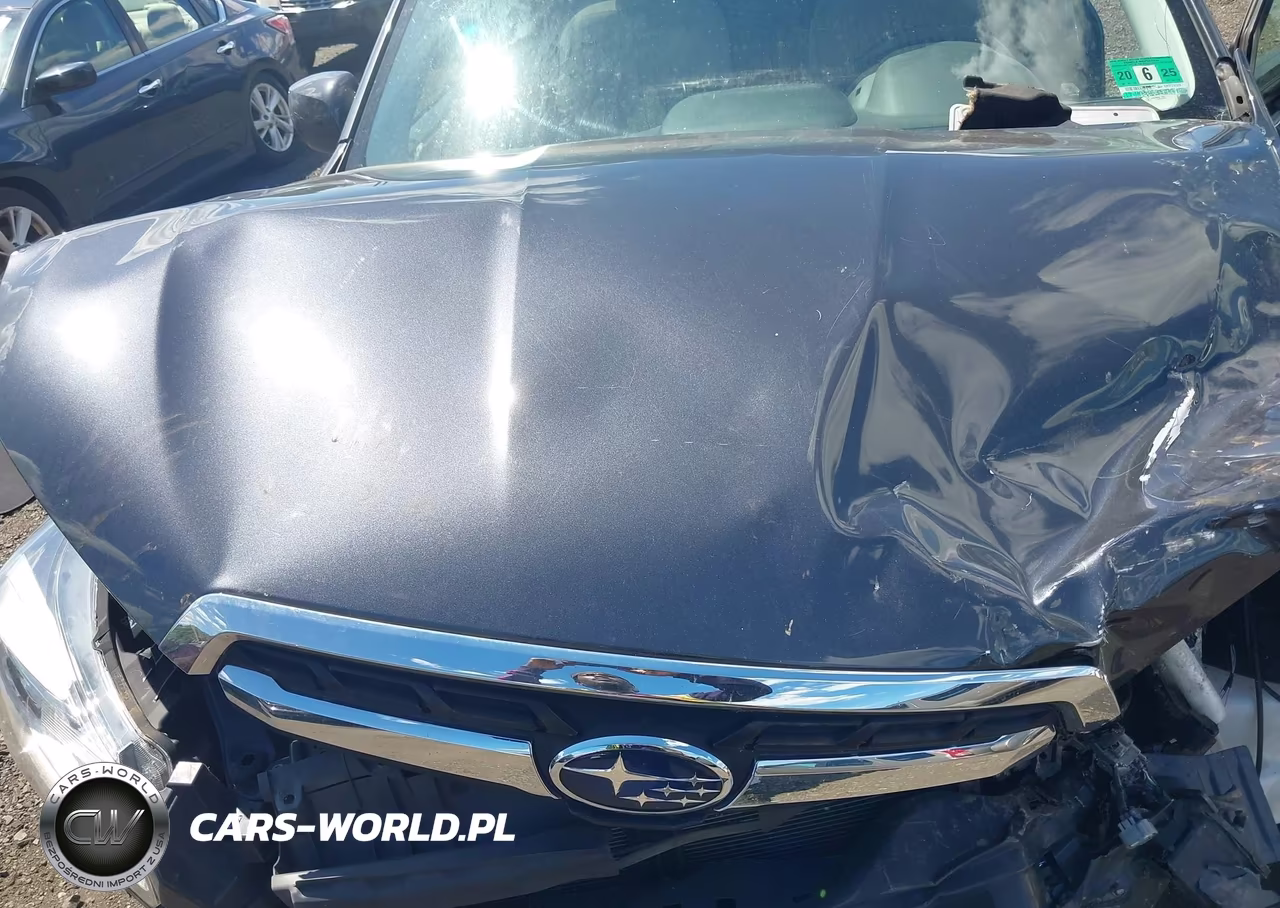 2018 Subaru Forester 2.5I Premium VIN:JF2SJAEC9JH580402 - 10