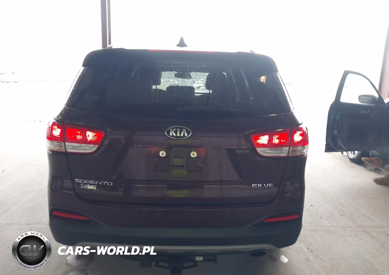 2017 Kia Sorento 3.3L Ex VIN:5XYPHDA51HG322211 - 17