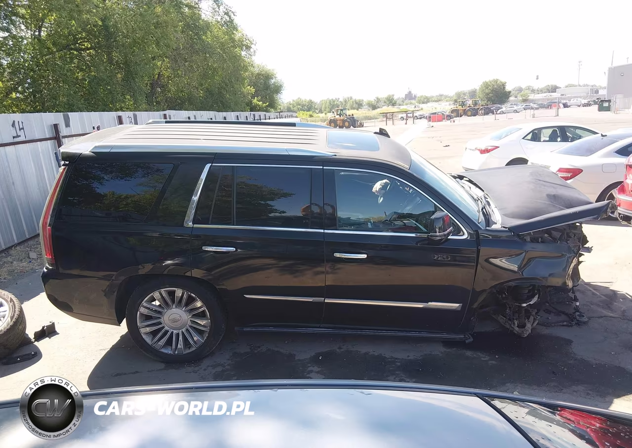 2016 Cadillac Escalade Platinum VIN:1GYS4DKJ5GR284204 - 14