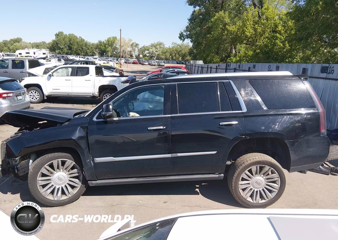 2016 Cadillac Escalade Platinum VIN:1GYS4DKJ5GR284204 - 15