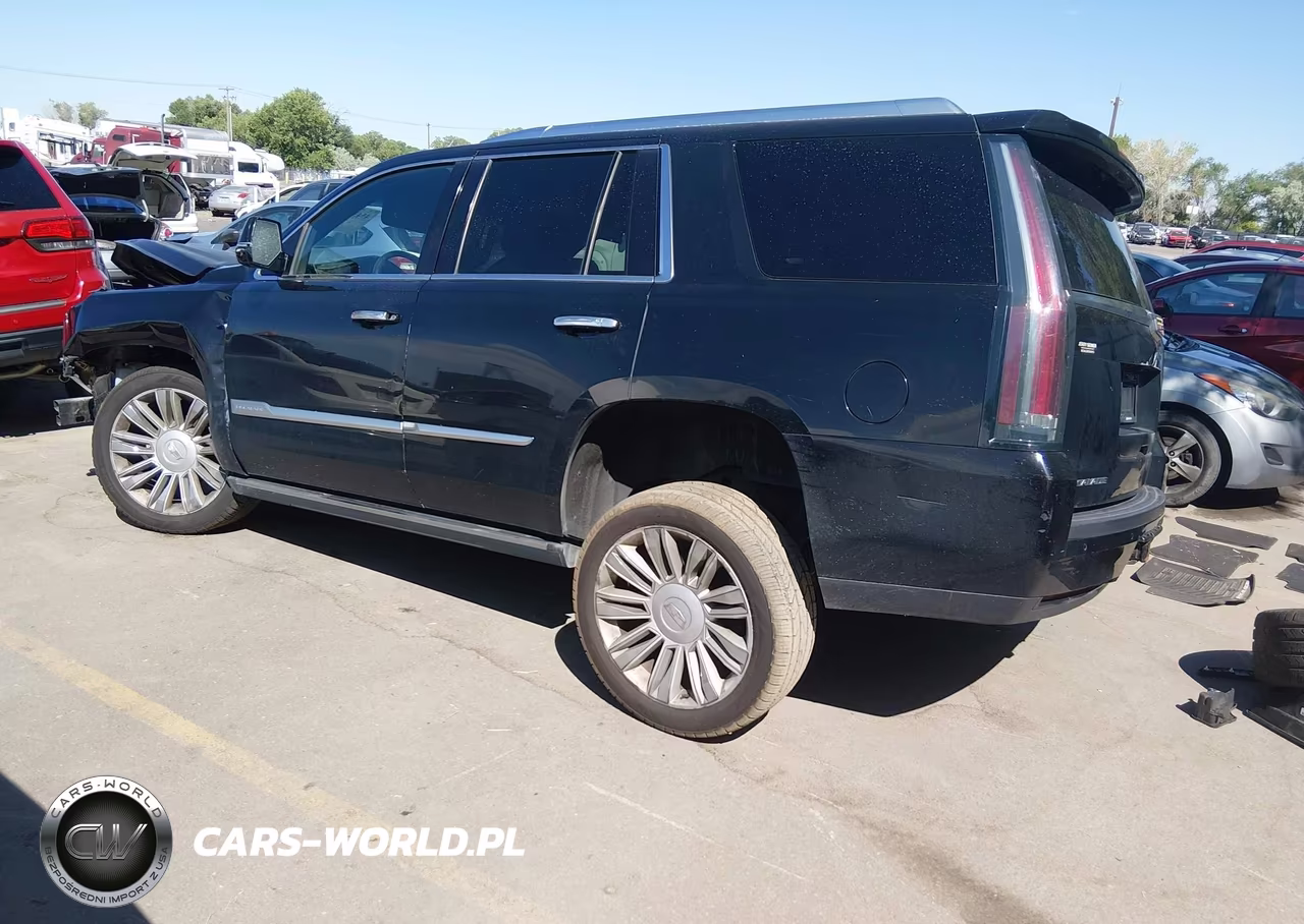 2016 Cadillac Escalade Platinum VIN:1GYS4DKJ5GR284204 - 3