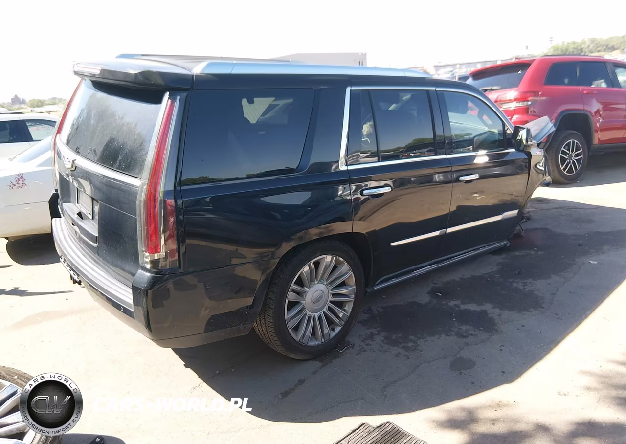 2016 Cadillac Escalade Platinum VIN:1GYS4DKJ5GR284204 - 4