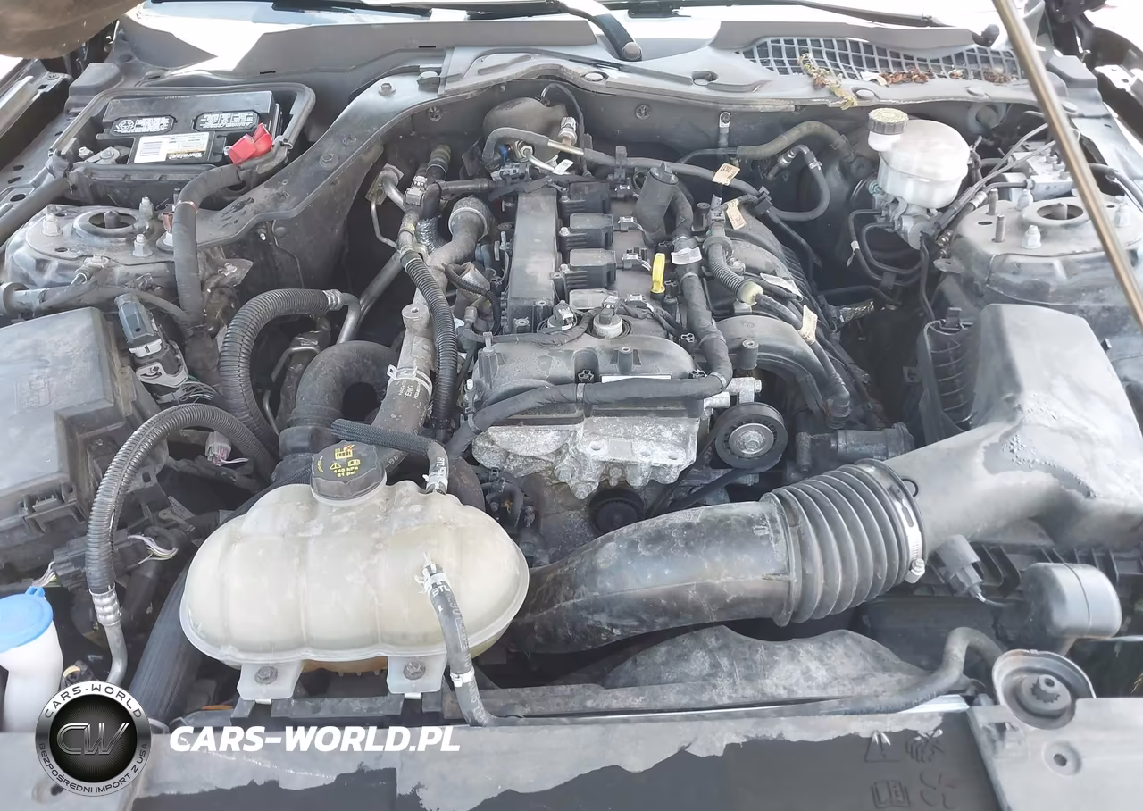 2021 Ford Mustang Ecoboost Fastback VIN:1FA6P8TH6M5117179 - 10