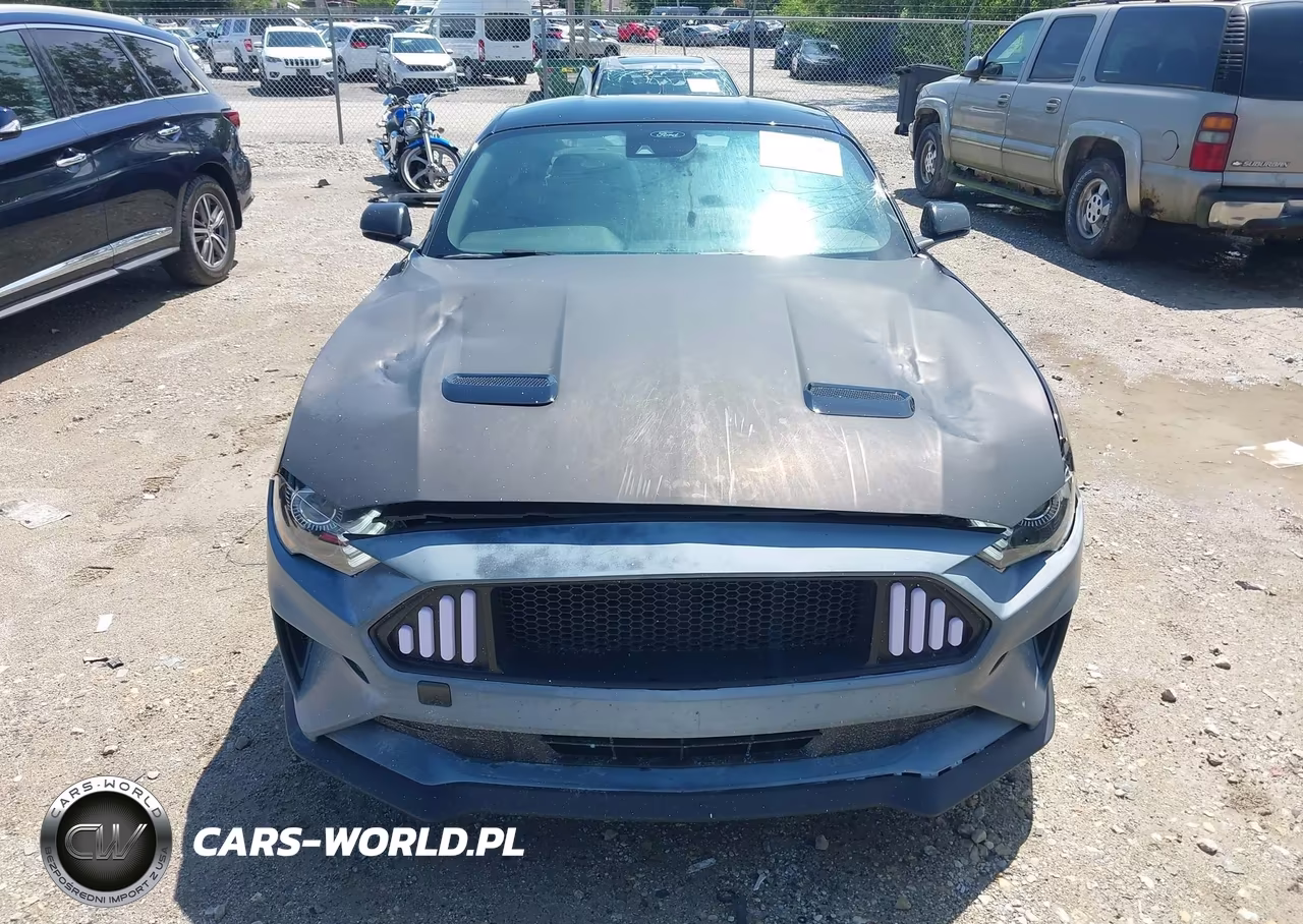 2021 Ford Mustang Ecoboost Fastback VIN:1FA6P8TH6M5117179 - 12