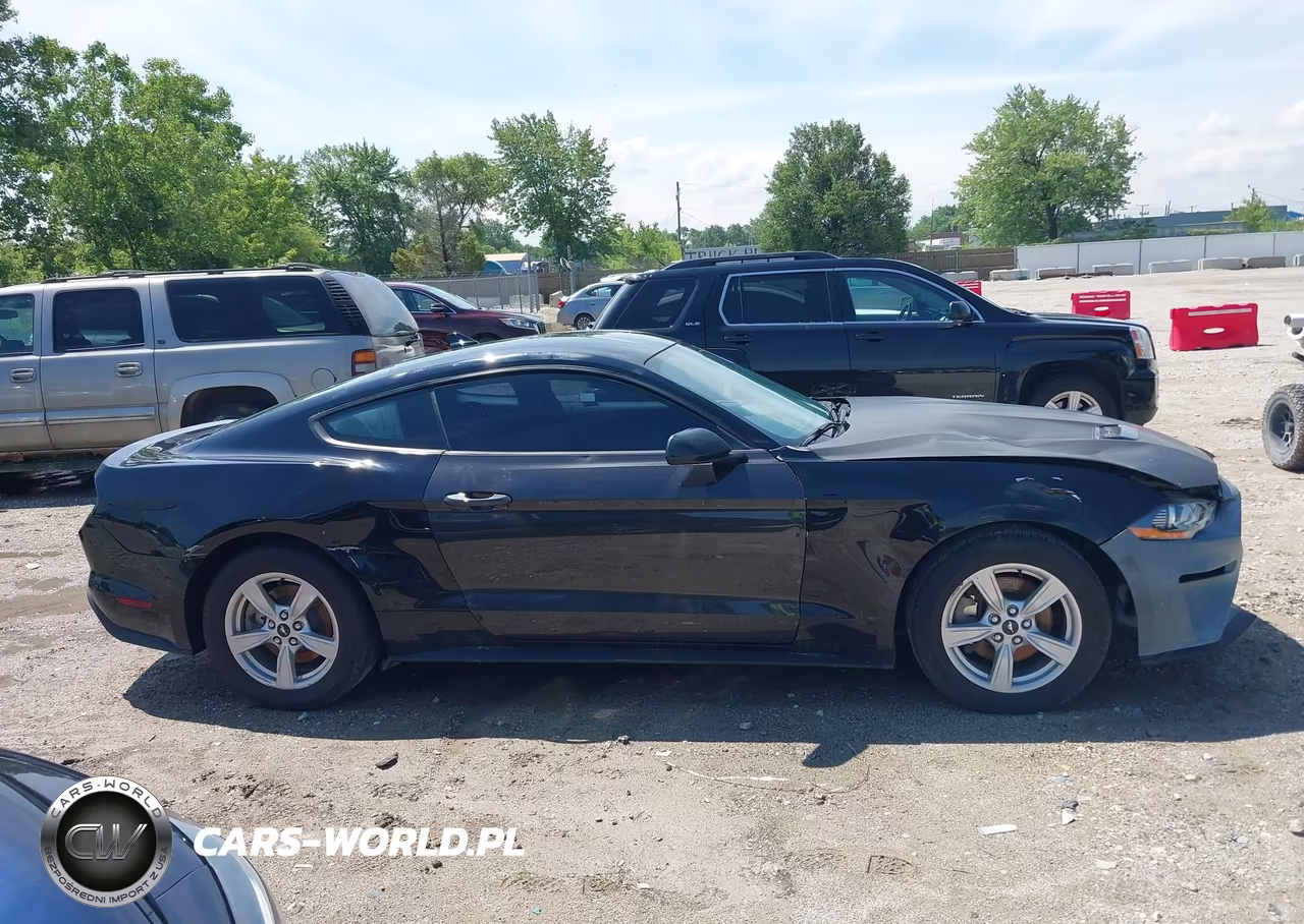 2021 Ford Mustang Ecoboost Fastback VIN:1FA6P8TH6M5117179 - 13
