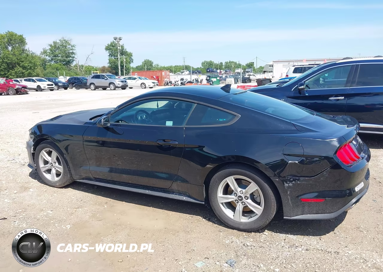 2021 Ford Mustang Ecoboost Fastback VIN:1FA6P8TH6M5117179 - 14