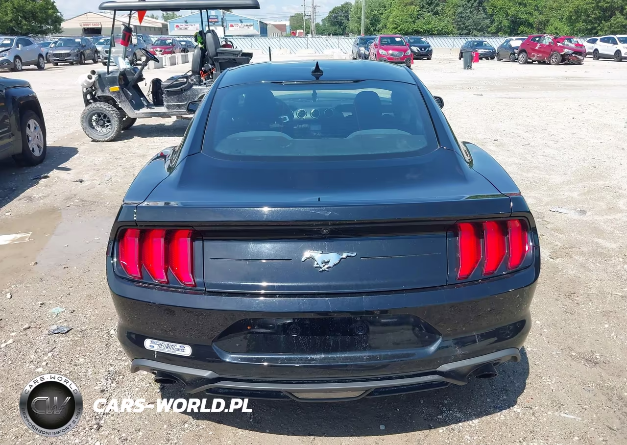 2021 Ford Mustang Ecoboost Fastback VIN:1FA6P8TH6M5117179 - 16