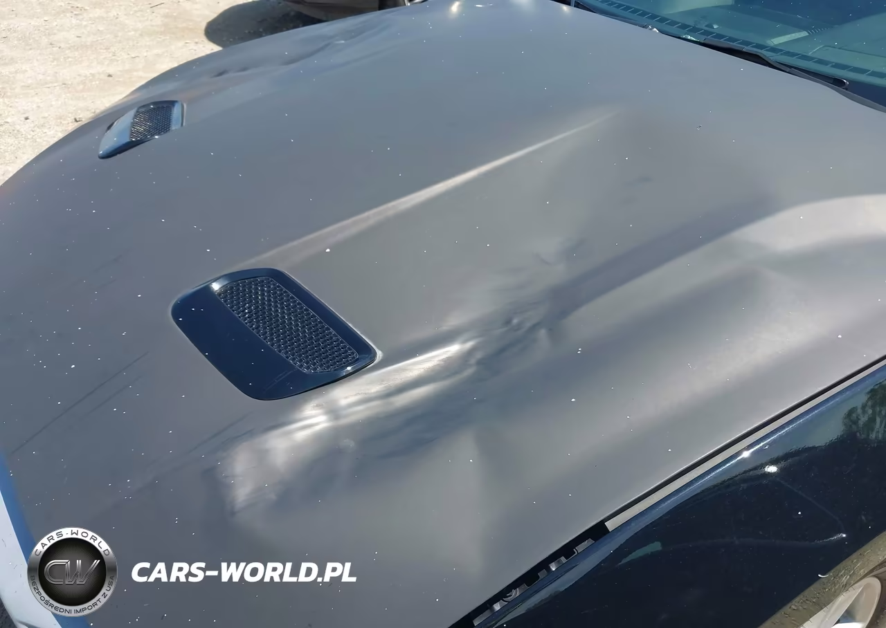 2021 Ford Mustang Ecoboost Fastback VIN:1FA6P8TH6M5117179 - 17