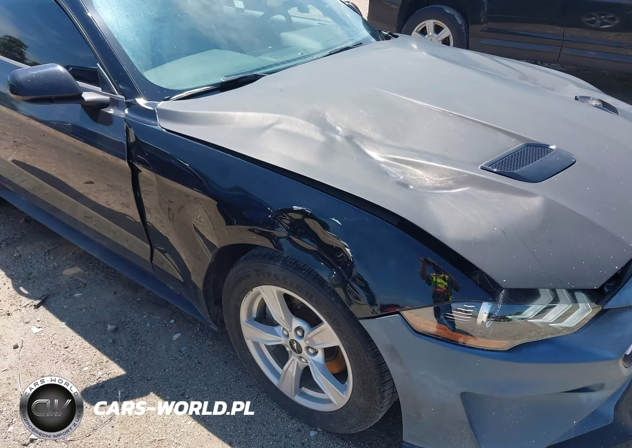 2021 Ford Mustang Ecoboost Fastback VIN:1FA6P8TH6M5117179 - 18