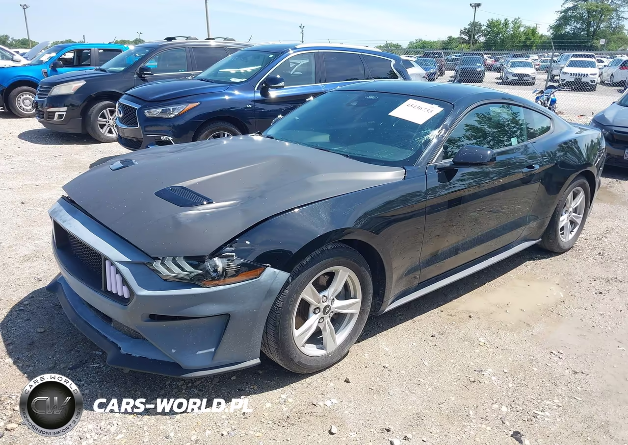 2021 Ford Mustang Ecoboost Fastback VIN:1FA6P8TH6M5117179 - 2