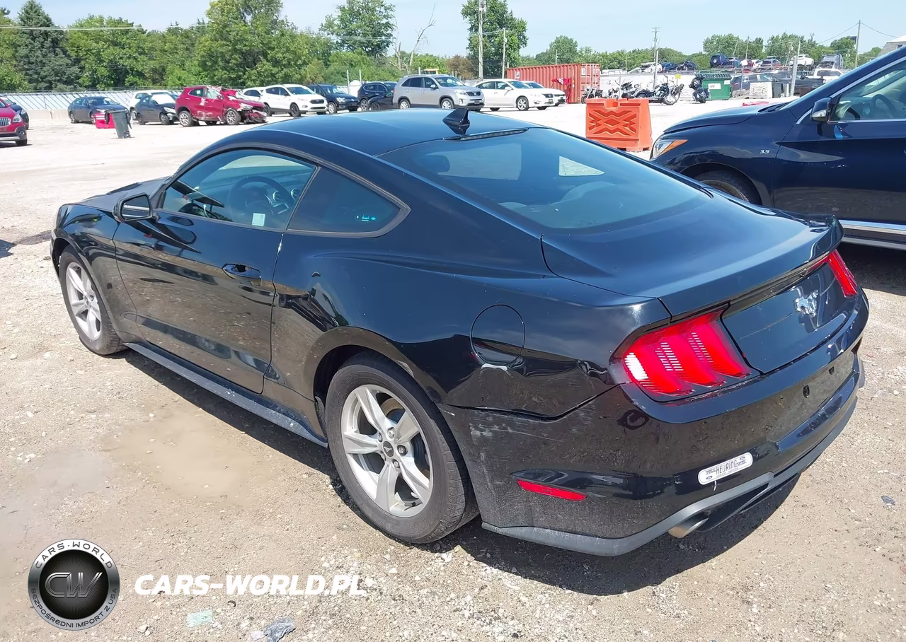 2021 Ford Mustang Ecoboost Fastback VIN:1FA6P8TH6M5117179 - 3