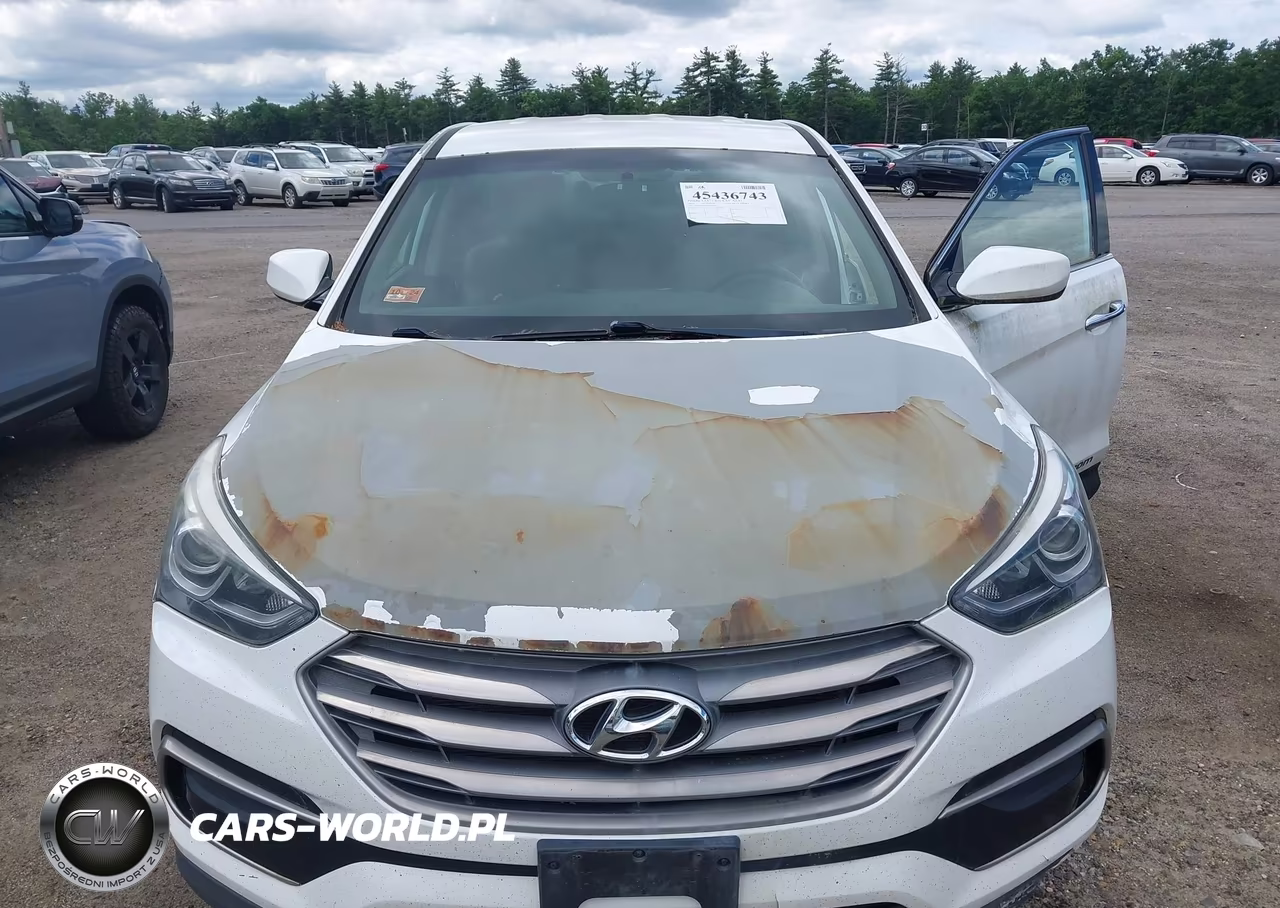 2017 Hyundai Santa Fe Sport 2.4L VIN:5NMZTDLB4HH016541 - 6