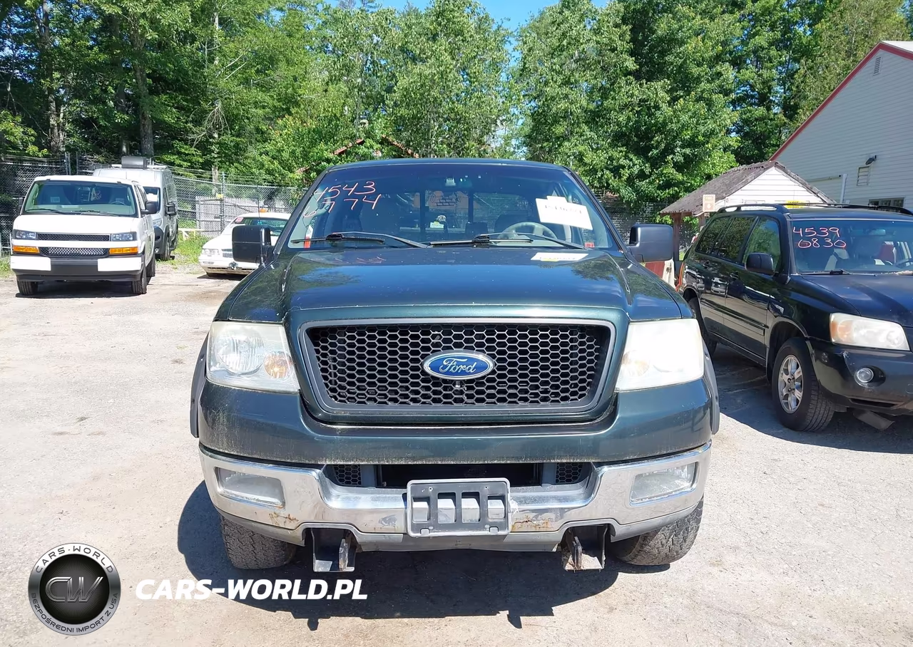 2004 Ford F-150 Stx-Xl-Xlt VIN:1FTRX14W94NA19789 - 13