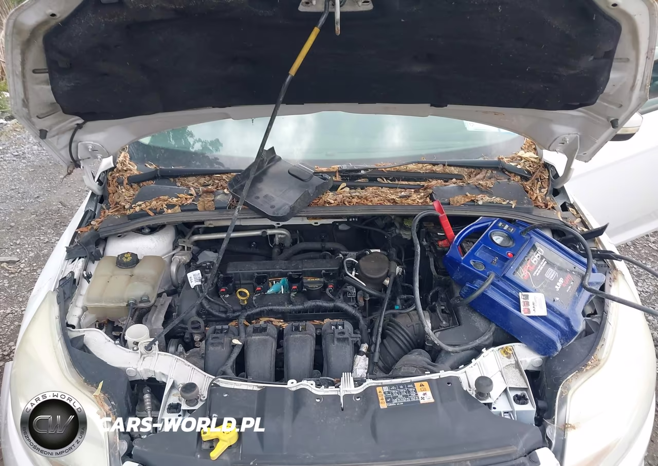 2014 Ford Focus Se VIN:1FADP3F26EL335556 - 10