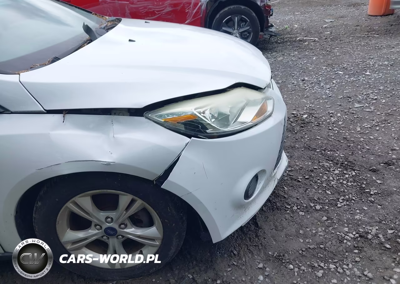 2014 Ford Focus Se VIN:1FADP3F26EL335556 - 12